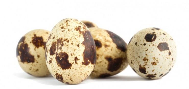 Bıldırcın Yumurtasının Bilinmeyen 10 Faydası
