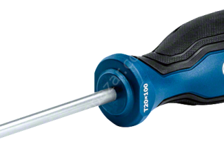 Bosch Profesyonel Torx Tornavida TX20x100