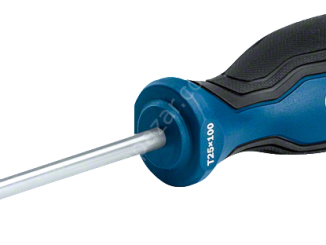 Bosch Profesyonel Torx Tornavida TX25x100