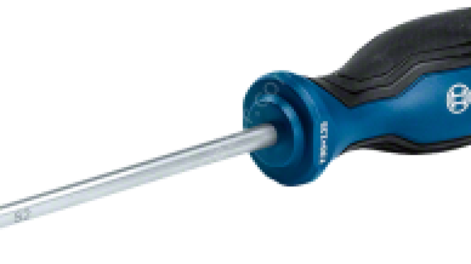 Bosch Profesyonel Torx Tornavida TX30x125