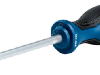 Bosch Profesyonel Torx Tornavida TX40x125