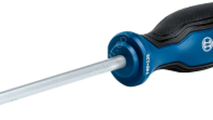 Bosch Profesyonel Torx Tornavida TX40x125