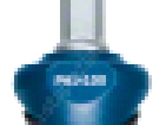 Bosch Profesyonel Yıldız Tornavida PH1x100mm